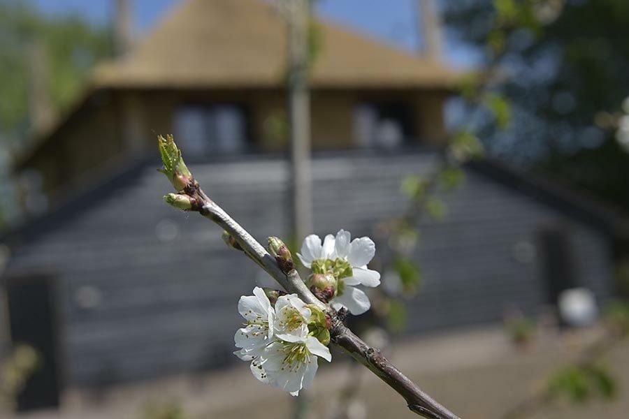 De Steltenberg In De Betuwe Zoelen ภายนอก รูปภาพ